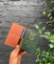 Picture of Passport holder