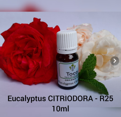 Picture of Eucalyptus CITRIODORA oil - 10ml